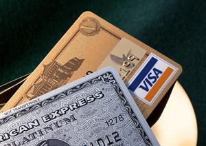 メイプル銀貨の価値と種類を徹底解説！信頼性の高い販売元を比較検討しよう